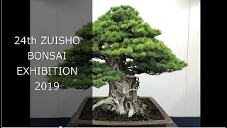 BONSAI: The 24th Zuisho Exhibition 2019  /  第24回瑞祥展