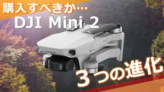 【最小最強ドローン】DJI Mini2【3つの進化】