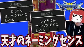 仲間にとんでもない名前を付けるシーン【2021/11/13】〈ドラゴンクエスト3〉