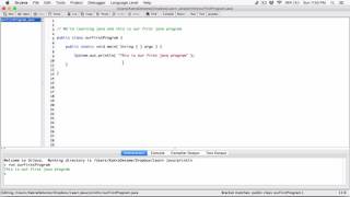 4. The System.out.println statement - Learn Java