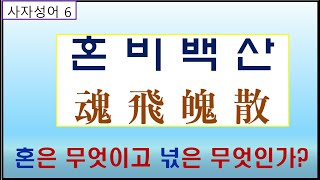 세트한자 제233강 혼비백산 / 혼은 어떤 존재이고 넋은 무슨일을 하겠는가?