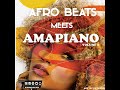 AFROBEAT MEETS AMAPIANO 2023 MIXTAPE BY DJ VESTUS