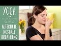 Yoga Breathing | Alternate Nostril Breathing Yoga Breathing | Alternate Nostril Breathing