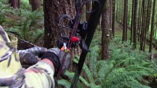 Oregon Archery Elk hunting