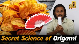 Secret Science of Origami | Science with Salman | Enthiramai - என் திறமை | Episode 08