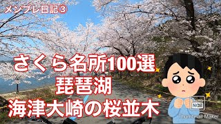 【モトブログ】日本のさくら名所100選　バイクで海津大崎の桜　琵琶湖