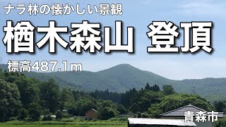 楢木森山登頂（青森市）標高487.1m あおもり110 山　2023年7月30日