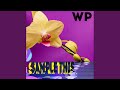 Sample This