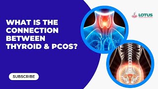 What is the connection between Thyroid & PCOS? | | Dr.M.S. Usha Nandhini | Lotus Women Care
