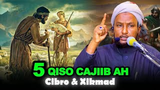 TOP 5 Qisooyin Cajiib Ah Oo Noloshaada Bedeli Doona ｜ Sheekh Xuseen Cali Jabuuti (2025)