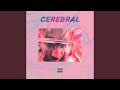 Cerebral