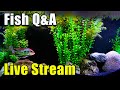 [LIVE]  We Are BACK! A Giveaway and Fish Q&A!