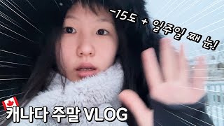 집 밖은 위험해! -15도 캐나다 겨울 주말 브이로그!│🇨🇦캐나다 유학생 vlog│헬로음이유니