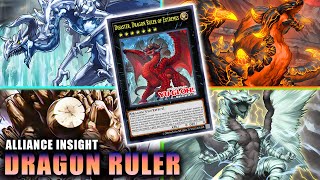 YGOPRO - Dragon Ruler Is Now Unnafected! Amazing Deck New Supports Alliance Insight Jan 2025【遊戯王ADS】