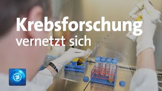 Vernetzung der Forschung: Internationale Krebskonferenz in Heidelberg