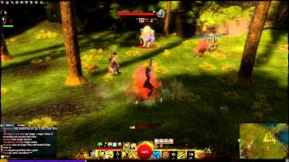 Guild Wars 2 - Ranger Burst Longbow (training dummy)