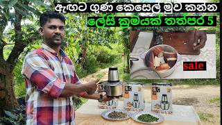 ඇඟට ගුණ කෙසෙල් මුව මෙහෙම කාල තියනවද MULTI FUNCTIONAL VEGETABLE CUTTER මැල්ලුම් හදන්න පළා කපන්න