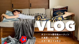 【主婦vlog】絶賛イヤイヤ期の息子とワーママ帰宅後のルーティン⏰/作り置きする休日