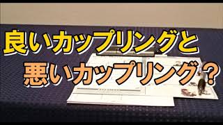 【婚活パーティー】良いカップリングと悪いカップリング