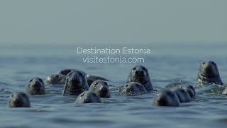 Destination Estonia Onlive 16.6.2020