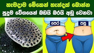 හැමදාම මේකෙන් හැන්දක් බිව්වොත් බඩයි බරයි වේගයෙන් අඩු වෙනවා | How To Use Basil Seeds For Weight Loss