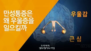 만성통증은 왜 우울증을 일으킬까 - (2015.12.23_566회 방송)_참을 수 없는 고통, 만성통증 치료의 골든타임을 잡아라