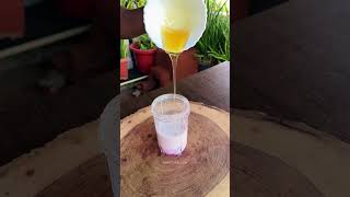 இவ்ளோ FRESH ஆன MILK SHAKE நம்ம மாடித்தோட்டத்திலிருந்து!!