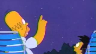 Homer Simpson - LEARNED