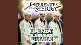 Las Iguanas