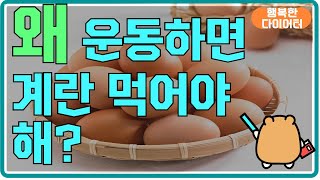 하루에 계란 3개씩 그 이상 매일 먹으면 몸에 어떤 변화를 가져올까?