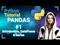 Python Data Science Tutorial: PANDAS #1 Introduction, DataFrame, Series