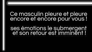 Oui il pleure en pensant à vous et reconnaît sa culpabilité ! Retour imminent !