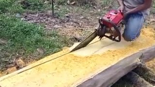 Gergaji Kayu Nangka zaman Belanda, Senso 070 / chainsaw sthil buat membelah kayu nangka