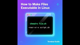 How to Make Files Executable in Linux – Terminal & File Manager Guide!