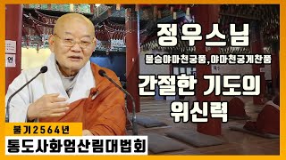 간절한 기도의 위신력_정우스님 [통도사화엄산림대법회]