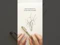 Learn to draw an iris in just five minutes #flowerdrawing #tutorial #art #sketch