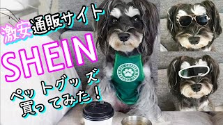 どうしてこんなに安いの⁉[ペット用品][激安][SHEIN][コスプレ][犬][猫][鳥][イグアナ]