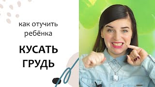 Ребёнок КУСАЕТ ГРУДЬ во время кормления. Молочный вопрос 2