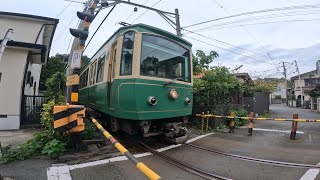 江ノ電で鎌倉散歩　Take the Enoden train and Kamakura walking 鶴岡八幡宮 宇賀福神社（銭洗弁天） 高徳院（鎌倉大仏）2024.Sep.28th