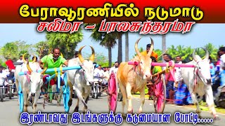 நடுமாடு - பேராவூரணி மாட்டுவண்டி பந்தயம் 27.01.2023#rekla_race_2022 #rekalarace #trending #amutham