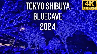 【4K】　TOKYO SHIBUYA BLUECAVE 2024 ~青の洞窟~ 시부야, 도쿄, 일루미네이션