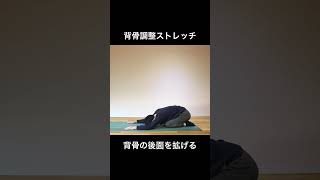 【背骨調整ストレッチ】　ヨーガ・ピラティス：ボディワーク #shorts