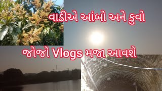 મિત્રો આપણે આંબો છે અને કૂવો છે જોજો મજા આવશે