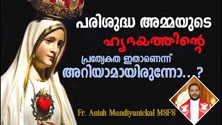 പരിശുദ്ധ അമ്മയുടെ ഹൃദയത്തിന്റെ പ്രത്യേകത ഇതാണെന്ന് അറിയാമായിരുന്നോ? Marian Talks Fr. Anish Mundiyani