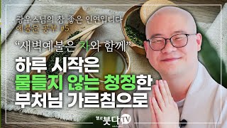 지심귀명례 광우스님의 예불문 공부 5회 | 새벽예불은 차와 함께 하루 시작은 물들지 않는 청정한 부처님의 가르침으로 | 광우스님의 참 좋은 인연입니다