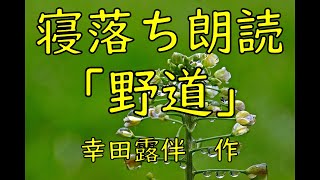 寝落ち朗読　「野道」　幸田露伴　　作業用BGMにも（読み聞かせ）