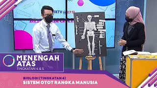 Menengah Atas (Ting. 4 - 5) | Biologi (Tingkatan 4) - Sistem Otot Rangka Manusia [R]