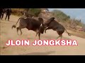 jloin jongksha vs iong