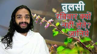 Why We Do not use Tulsi / Basil on Sunday? Hidden Fact of Tulsi Answered By Nityanandam Shree