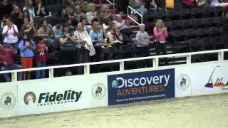 Video of SAN REMO VDL ridden by ELIZABETH BENSON from ShowNet!